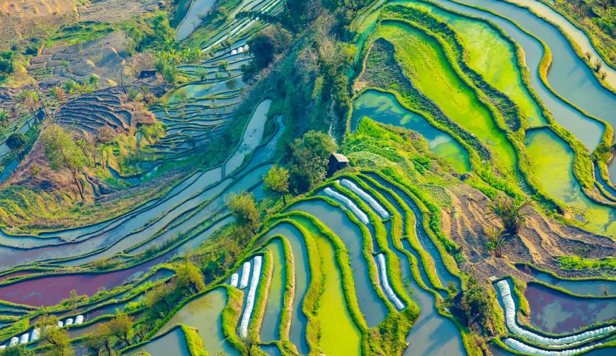 宝妈必备神器：射阳县产品视频拍摄轻松育儿好帮手