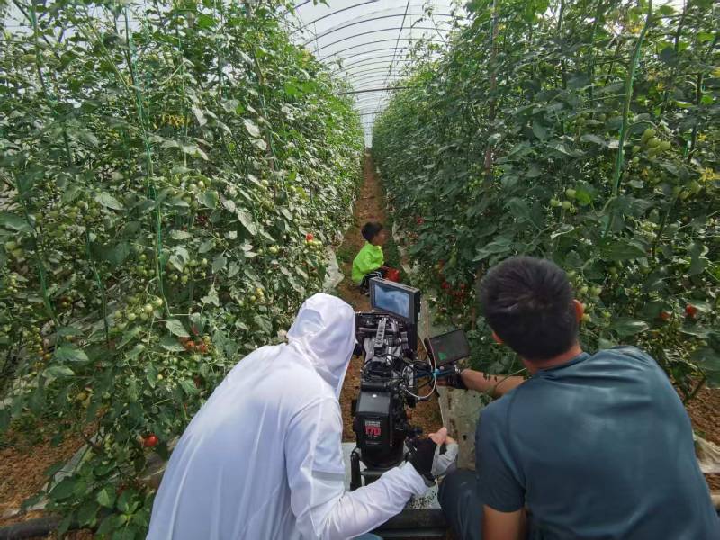 射阳县产品宣传视频拍摄公司进阶指南，助力品牌抢占传播高地